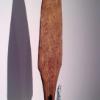 Bildungsroman (armadillo foot) - cast iron, wood, assemblage